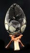 Septarian Dragon Egg Geode - Removable Piece #34526-2